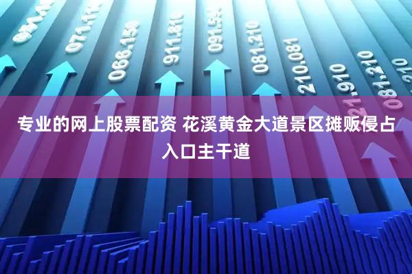 专业的网上股票配资 花溪黄金大道景区摊贩侵占入口主干道