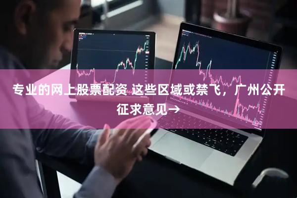 专业的网上股票配资 这些区域或禁飞，广州公开征求意见→